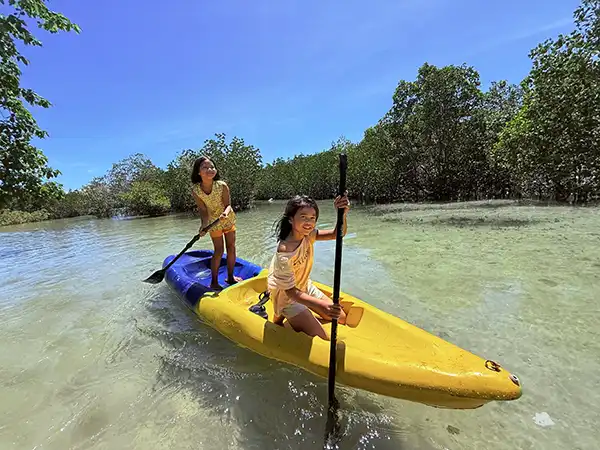 Kayaking Adventure in the Mangrove Forest